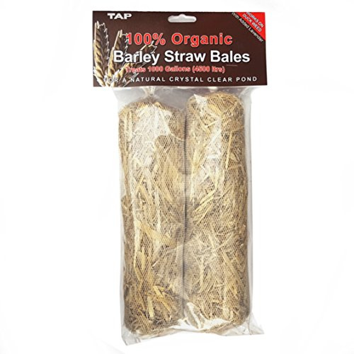 TAP Pond Barley Straw Algae Control DuckWeed Water Treatment Dual Pack (5 Packs (10 Bales))