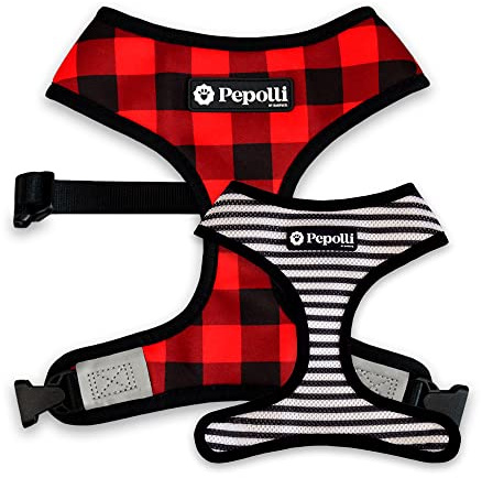 Pepolli Hundegeschirr verstellbar | Geschirr für Franz. Bulldogge, Frenchie, Frenchbulldog, Mops (L (Hals 41–44 cm, Brust 60 – 84 cm)