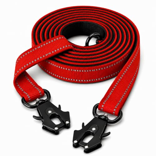 Lina Pet Hundeleine 3m x 2,5 cm, Verstellbare Doppelleine aus Nylon mit Aluminium-Karabiner, Führleine Reflektierend für große und mittelgroße Hunde