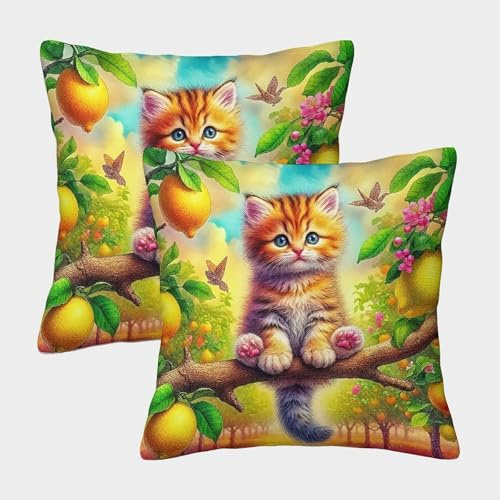 FELASBUID Cute Gato Fundas Cojines para Sofá Juego De 2 Animales Funda De Almohada Decorativos Cuadrado Almohadon Cubre para Sala Hogar 50x50cm