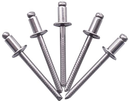 SKIR'CO (40 pezzi) Rivetti ciechi in acciaio inox 4,8 x 8 mm, testa a cupola, rivetti pop, DIN 7337, rivetto A2, mandrino scanalato