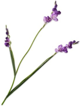 Silk-ka Kunstblume-Seidenblume Freesienzweig Lila 83 cm