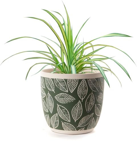 Dibor Indoor Plant Pot Green Fern Leaf Print Flower Terracotta Clay Pot Succulent Cacti Houseplant Windowsill Herb Planter Flower Pot Christmas Gardening Gift (Small)