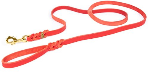 Hundeleine Leder 1m kleine Hunde leicht Fettlederleine [mit Handschlaufe] Lederleine geflochten – robuste Leine Hund mit Messingbeschlägen – Führleine Hund & Freihandleine zum Umhängen, Rot 8mm