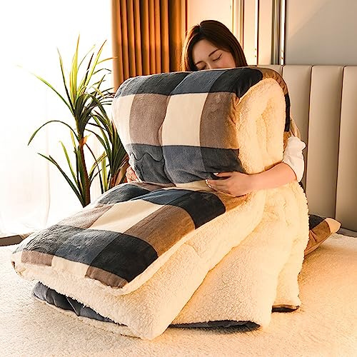 DEZYPZAM Couette en Velours de Laine d'agneau en Coton, Épaisse et Chaude Cachemire Édredon, Anti-poussière et Anti-Allergique Au Printemps Hiver et Automne (Plaid,150x200cm (1.75kg))