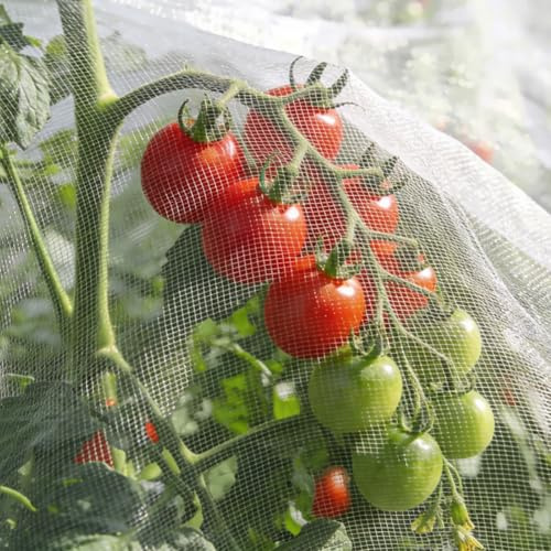 Filet Anti-Insectes, 1.2 x 3m Filet de Protection Anti-Insectes en Maille Fine, Filets Anti Insecte Potager, Protection Plantes Contre Insectes per Jardins, Arbres Fruitiers, Potagers, Fleurs
