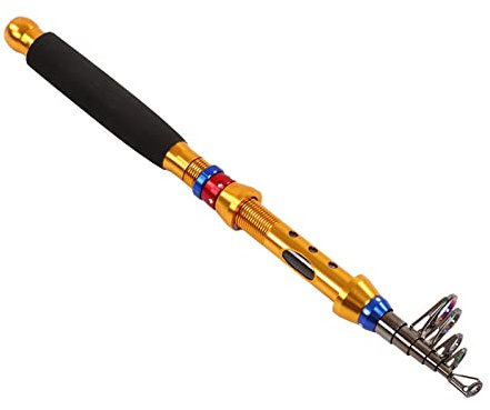 Naroote Karpfenrute, Teleskoprute, Teleskopangel Tragbare Sensible Rute mit Frischwasser-Aufbewahrungstasche, ideal für Reisen, zum Angeln in Salzwasser und Süßwasser (1,6 m)
