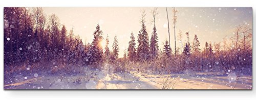 Paul Sinus Art Leinwandbilder | Bilder Leinwand 120x40cm Winterlandschaft