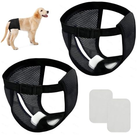 GIDWRIY 2 Pack LäUfigkeitshose für HüNdinnen M,Schutzhose Hündin Mit 6 Damenbinden,Hundehosen Bei Läufigkeit,Schutzhöschen Hunde Periodenhöschen,Höschen Hund Läufigkeit,Waschbare Hundewindeln