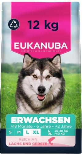 Eukanuba Hundefutter Trocken mit Lachs und Gerste für große Rassen - Premium Trockenfutter für ausgewachsene Hunde, 12 kg