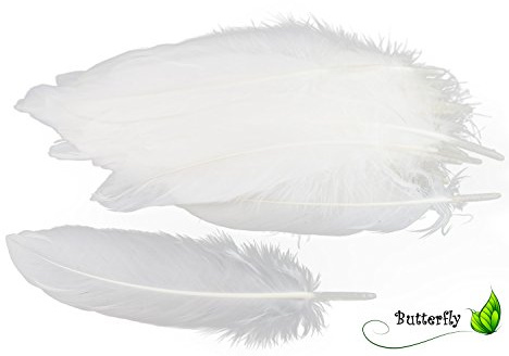 Creativery 50 Gänsefedern 17cm - 20cm (weiß 029) // Dekofedern Bastelfedern Vogelfedern Gänse Federn Deko