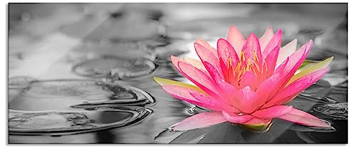 Pixxprint Glasbild Panorama, Wandbild aus Echtglas, Schöne Seerose, 100x40 cm, inkl. Aufhängung und Abstandshalter