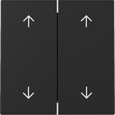 Gira 3297005 Wippe 2f Pfeile System 55 Schwarz m