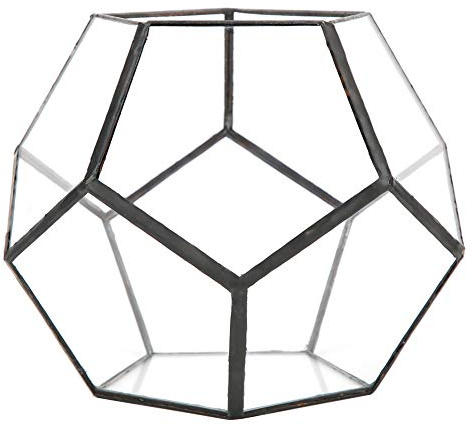 Jenngaoo Geometric Glas Terrarium, 7 Zoll Blumentopf Handmade, Clear Planter Tischplatte Terrarium Pflanzenhalter Display Box für saftige Miniatur Fairy Garden Blumentopf (Keine Pflanzen)