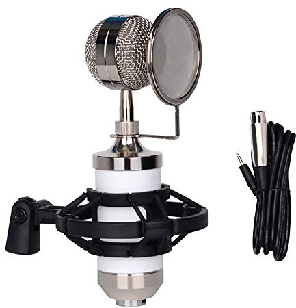 Andoer Aufnahmemikrofon Nieren-Kondensatormikrofon-Kit mit Kunststoff-Stoßdämpfer-Pop-Filter Geräuscharmes, hochempfindliches Mikrofon für Live-Streaming-Gesang Singen Rundfunk Musikinstrumenten