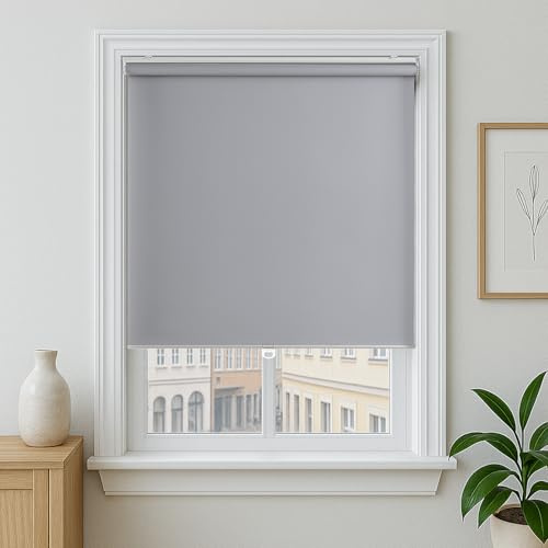 Claire HAN Cordless Roller Shade, Free-Stop Blackout Blinds for Windows, Thermal Insulated UV Protection Waterproof, Roll Up Blinds and Shades for Home, Office, Grey 26 W x 72 L
