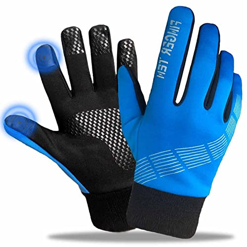 Winterhandschuhe Herren Damen Touchscreen Winter Handschuhe Skihandschuhe Thermo Fahrradhandschuhe Laufhandschuhe Motorradhandschuhe Radfahren Fahrrad Rutschfeste Sporthandschuhe (Blau, XL)