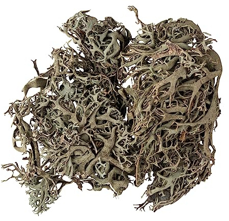 Rayher Flechten Moos, Graumoos, Btl. 20 g, grau-grüne Farbe, getrocknetes und präpariertes Naturmoos, 85492000