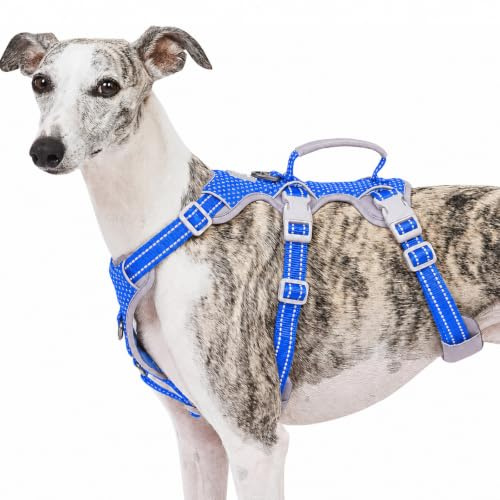 Huntboo Escape Proof Dog Harness, No Pull Reflective Harness with Lift Handle,Adjustable Pet Vest with Front and Back Leash Clips for Small Medium Large Dogs Walking Hiking Training (Sea Blue,L)