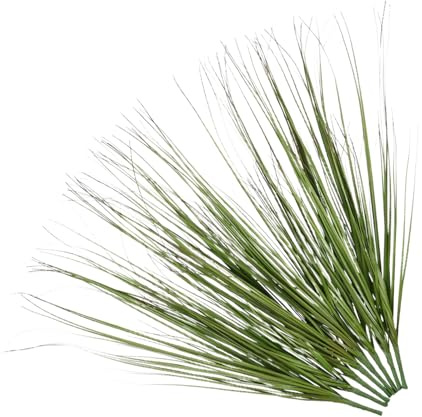 Luxshiny 8 Stück künstliches Schilf gefälschtes hohes Gras Künstliche Pflanzen für den Außenbereich künstliche kleine Pflanzen Gefälschte im Innenbereich Faux Greeny Plastik Grün
