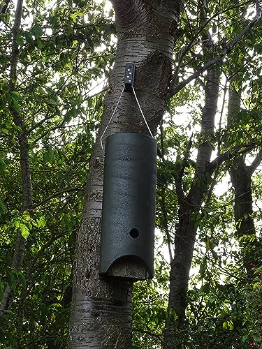 HASSELFELDT Fledermausgroßraumröhre aus Holzbeton | Wetterfest | Fledermausquartier | Fledermauswochenstube | Großraumhöhle | Sommerquartier | Fledermauskasten | Fledermaus-Haus | Selbstreinigend