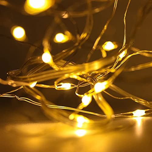 TRIXES LED Lichterkette aus Kupfer - batteriebetriebene warmweiße Lichter für Innen- und Außendekoration - 2 Päckchen wasserfeste Dekorationen für Garten/Haus mit Fernbedienungen