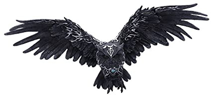 Nemesis Now Dunkle Feder, Schwarz, 55 cm