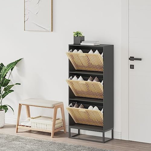 DYRJDJWIDHW schuhabtropfschale,schuhregal,schuhschrank,Schuhschrank Schwarz 52x25x120 cm HolzwerkstoffFür Türöffnungen, Korridore