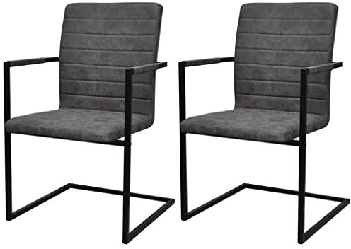 ShGaxin Freischwinger 2 STK Esszimmerstühle, Stühle Set, Küchenstühle, Besucherstuhl, Stühle Esszimmer, Essensstuhl, Bankettstühle, Grau Kunstleder