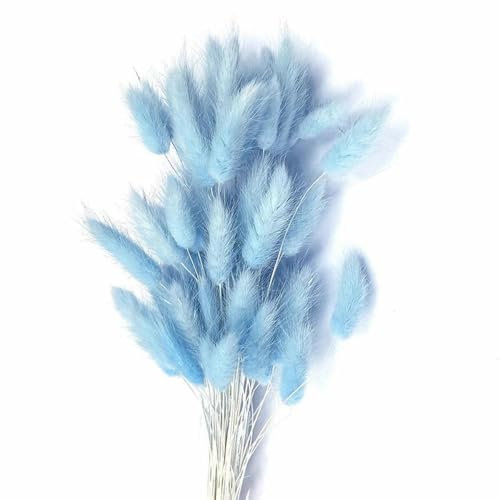 YLREAN 50 stücke Natur Bunny Kaninchen Schwanz Gras Getrocknete Blume Bouquet Hochzeit Party Decor Flauschigen Weihnachten DIY Blumen Arrangement-30