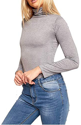 Candid Styles Womens Ladies Polo Roll Neck Long Sleeve Turtle Neck Plain Jumper Top 8 26, 12-14, Silver Grey