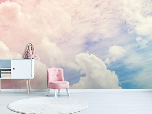 Oedim Vinilo para Pared Nubes de Colores | Fotomural para Paredes | Mural | Vinilo Decorativo |350 x 250 cm | Decoración comedores, Salones, Habitaciones
