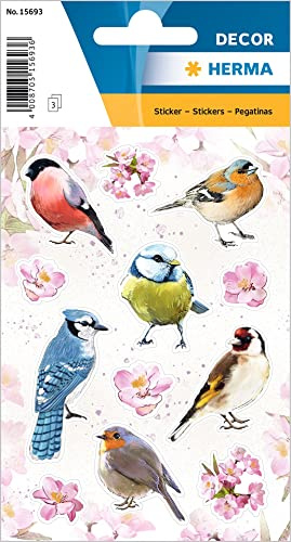 HERMA 15693 Lot de 36 autocollants en papier avec motifs d'oiseaux pour garçons et filles