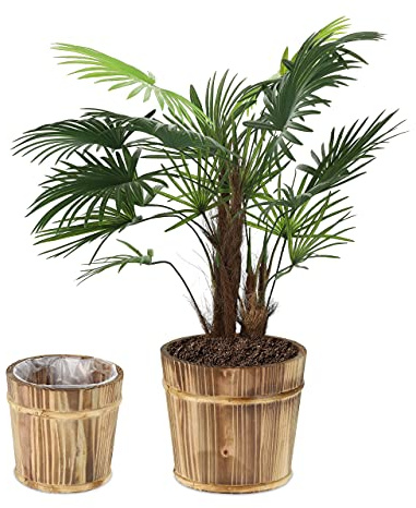 Relaxdays Blomkruka set med 2, rund trä ytterkruka i 2 storlekar, Ø 24 och 19 cm, träfat blomkruka inomhus och utomhus, natur