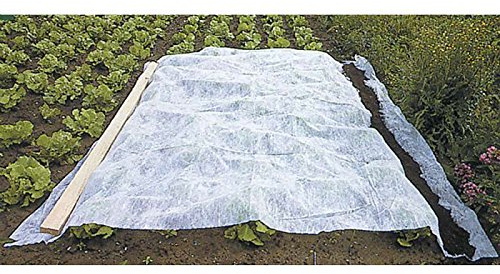 WERKA PRO Voile d'hivernage Blanc 60g-m2 2 x 10m