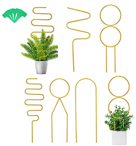 5 Pièces Support Plante Grimpante Tuteur Plante Grimpante Intérieur Grimpantes d'Intérieur Support Métallique pour Plantes Grimpantes Convient Aux Plantes en Pot Et Aux Vignes et Fleurs