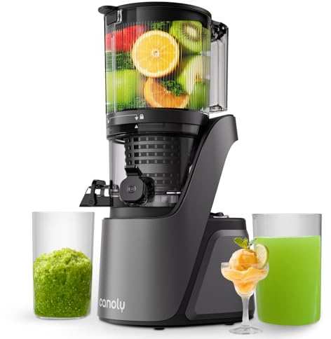 Entsafter Slow Juicer mit 6 Zoll Großer Einfüllschacht Grau