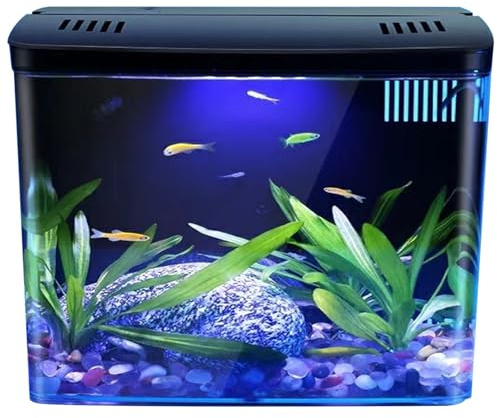 Liten akvarietank 1,3 gallon, klar skrivbordsakvarium med 3 lagers filter och LED-ljus, självrengörande heminredning för betta-fisk, räka, guldfisk (svart)