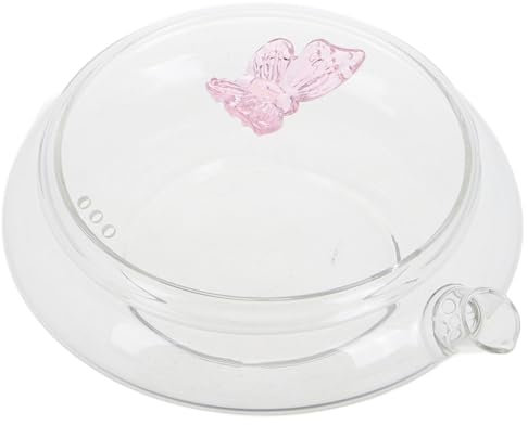 DONFAMDS Théière Verre Transparent Avec Bec Verseur Pour Thé Vrac Couvercle Inclus Usage Personnel Et Infusions Froides
