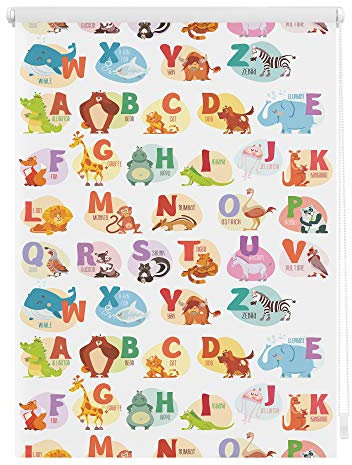 Lichtblick Klemmfix Verdunklungs-Rollo mit Motiv, ohne Bohren, Blickdicht, Seitenzugrollo, Made in Germany, ABC-Tafel - Bunt 70 x 150 cm (B x L)