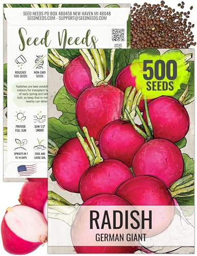 Seed Needs Radish Seeds for Planting German Giant Radishes - Non-GMO, Heirloom & Untreated - Grow a Home Grown Vegetable Garden - Cool Weather Crops (1 Pack)