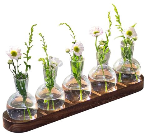 Station De Propagation De Plantas avec Support en Bois, Vases Hydroponiques en Verre, Vase D'avocat Vase en Verre pour Fleurs Terrarium Pot Planteur avec Support en Bois pour Plantas d'eau