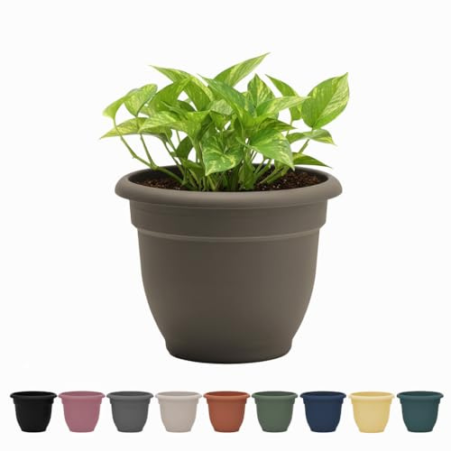Bloem Ariana 10 Peppercorn Round Self-Watering Resin Planter Pot - Rolled Rim Indoor and Outdoor Gardening Planter