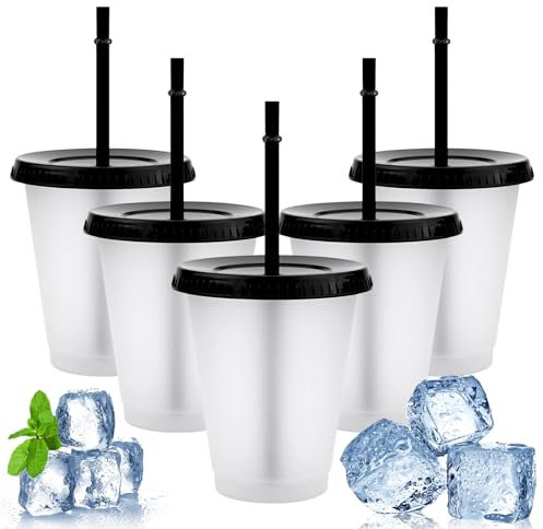 WHENZOO 5Pcs 500ml Iced Water Cups with Lids & Straws, Cold Drinking Tumblers, Plastic Tumbler Set, Reusable & BPA Free Plastic Cup, Coffee Smoothie Slushy Drinking Cup, Party Cups for Kid Adults