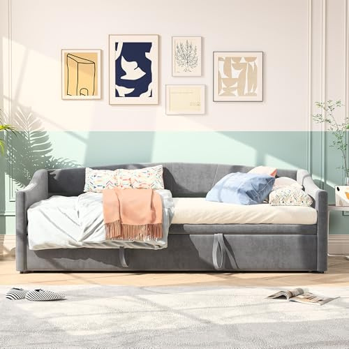 Ausziehbares Schlafsofa 90/180x200cm, Polsterbett Schlafsofa , Doppelbett, Einzelbett, Bett mit Lattenrosten, Tagesbett, Funktionsbett, hautfreundlichem Samtstoff, Ohne Matratze,Grau
