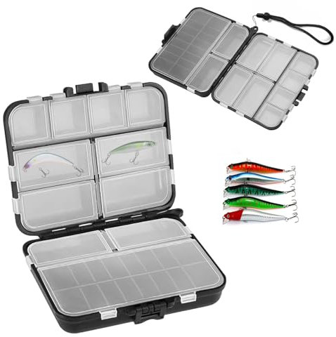 LINTRA Ngel Köder Box, Doppellagig Tackle Box Angeln, Multifunktional, 12 Fächer Köderbox Angeln, mit Handschlaufe, für Aufbewahrung von Köder oder Zubehör
