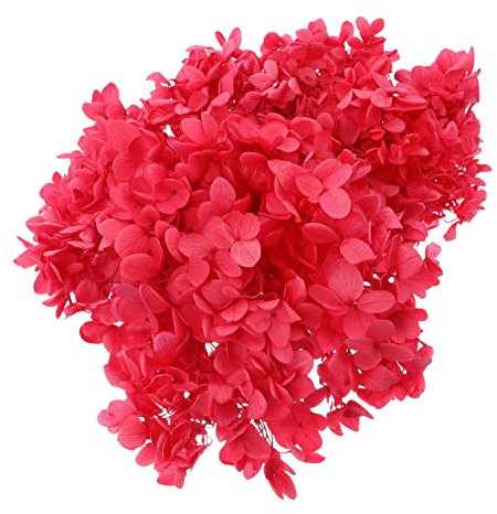 Vaguelly Fleur Éternelle Rose Hortensias Naturels Fleur DIY Séchée pour Bricolage Artisanat D'Hortensia Sèche Matériel D'Hortensia Immortelle DIY