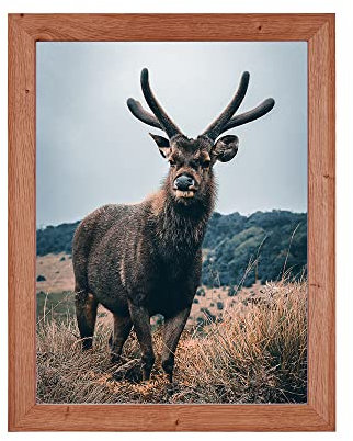 Rahmendesign24 Posterrahmen Rio 45x60 Eiche natur Fotorahmen, Wechselrahmen, Bilderrahmen