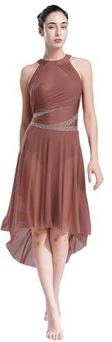inhzoy Femme Robe Fluide Danse de Salon Compétition Robe Danse Tango Valse Ballet Spectacle Tulle sans Manches S-XXL A Marron L