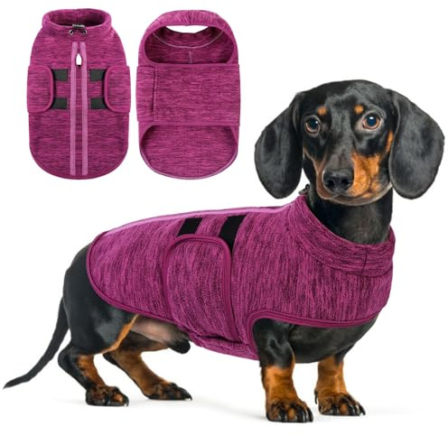 Queenmore Hunde Fleece Pullover Hundemantel Winter, Hundepulli Fleece | Dackel, Chihuahua, Zwergspitz, Bulldog, Yorkshire, Gemütlicher Stehkragen für zu Hause & unterwegs, CationicLila, XS